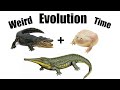 How Evolution Made Toads Behave like Crocodiles