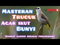 Masteran Pancingan Trucukan || perangsang trucuk bahan-ombyokan-macet biar cepat gacor