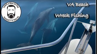 🔵 Memorable Day Offshore Wreck Fishing Virginia Beach Close in Dolphin Encounter