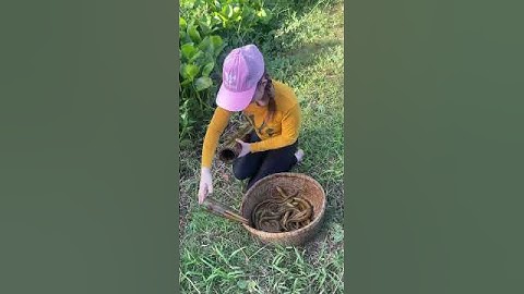This survival girl has amazing skills 👏