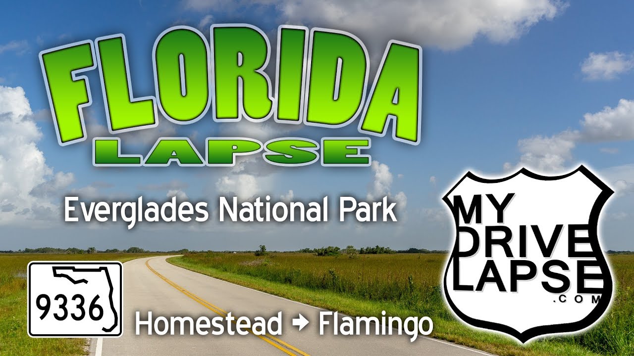 The Drive into Everglades National Park, Florida