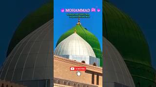 Na Koi Aap Jaisa… 💖 #madinasharif #shotsfeed #video #shots #nabipakﷺ #khubsuratkalam #madina