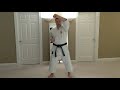 Te and Uke Waza In Shindo Jinen Ryu