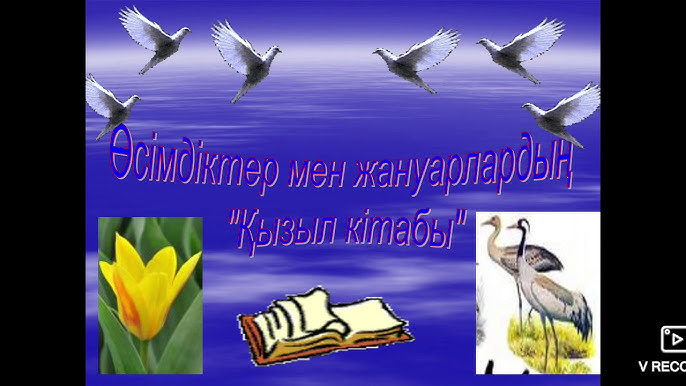 Олар өтіп бара жатқандардың көзінше сиқырлайды