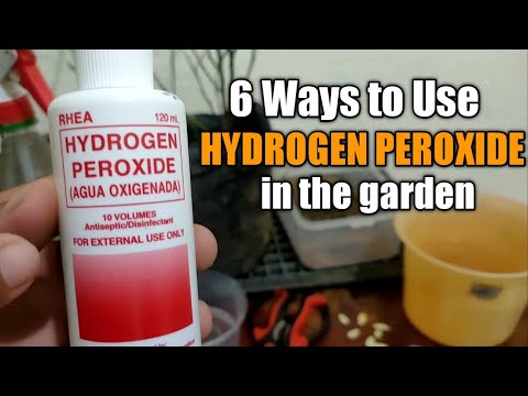 Video: Mga Pataba: Mga Uri Para Sa Hardin Ng Hardin At Gulay. Ang Paggamit Ng Hydrogen Peroxide Para Sa Mga Halaman, UAN At Mineral. Ano Ito Mga Pamamaraan Para Sa Paglalapat Ng Iba't Iba