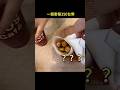 你們覺得貴嗎？