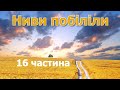 Ниви побіліли - 16 частина