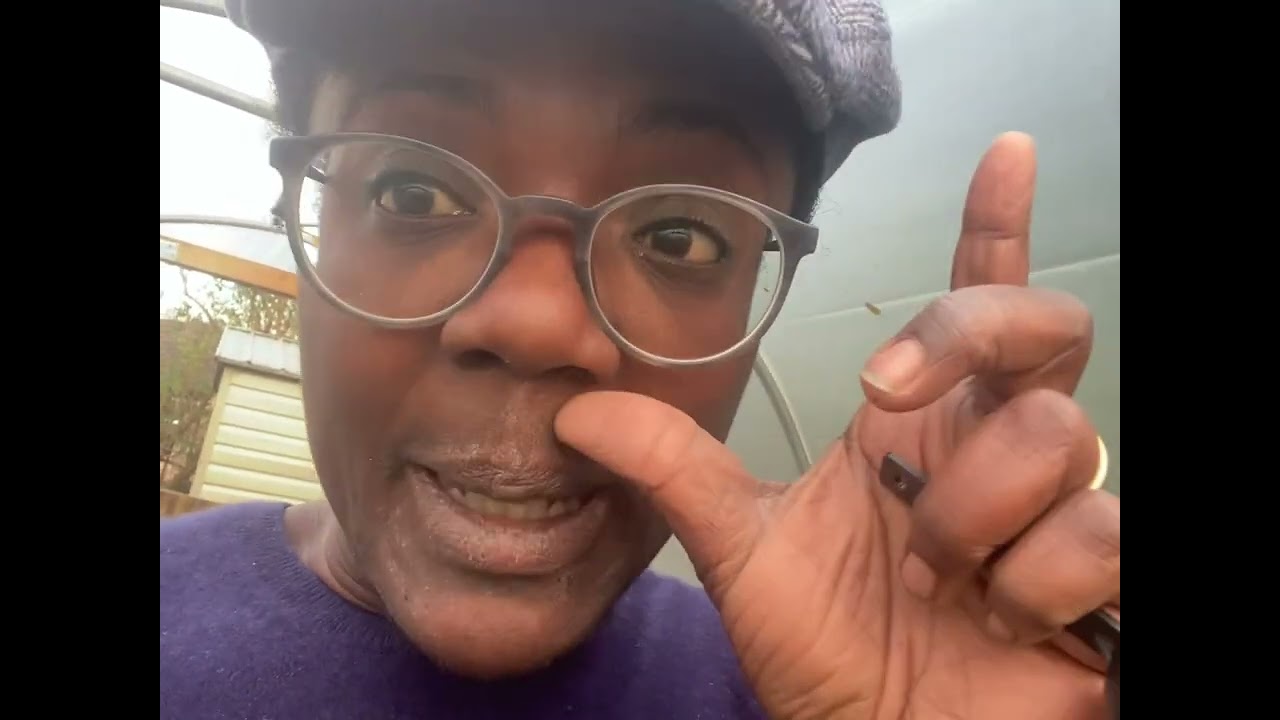 January in the Silver Grey Foliage 'Tiny Tunnel'