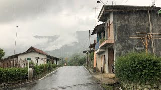 Taking a Walk in the Heavy Rain | Wet and Refreshing | Sleep Soundly With the Sound of Heavy Rain