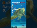 Ranking Best TURTLE TALK Moments #funny #laughter #comedy #shorts #fyp #viral #trutletalk #trends