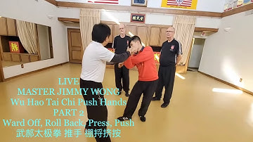 Tai Chi Wu Hao LIVE Push Hands Part 2