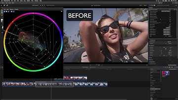 Nobe Color Remap :: Preset Galley :: Final Cut Pro X