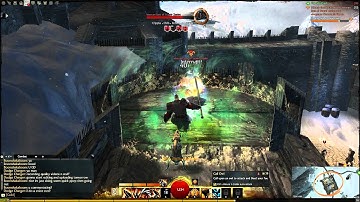 [BETA] Guild Wars 2 - Beta - Dynamic Group Event