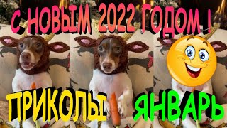 ПРИКОЛЫ 2022 САМЫЕ НОВЫЕ!!!!СМОТРЕТЬ ПРИКОЛЫ 2022!!!#1