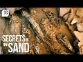 Strange Bodies Found On the Banks of the Nile River! | Secrets in the Sand | Science Channel