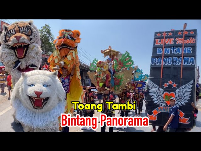 Lagu sing lagi viral❗️Toang Tambi burok BINTANG PANORAMA Live Pengarengan class=