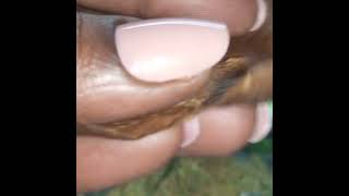 Sesh time with Serenity! 🌬  What are you smoking? Ep. 33
