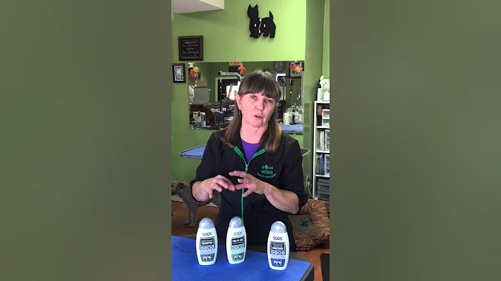 Nancy Bryson Gives Soos Tutorial