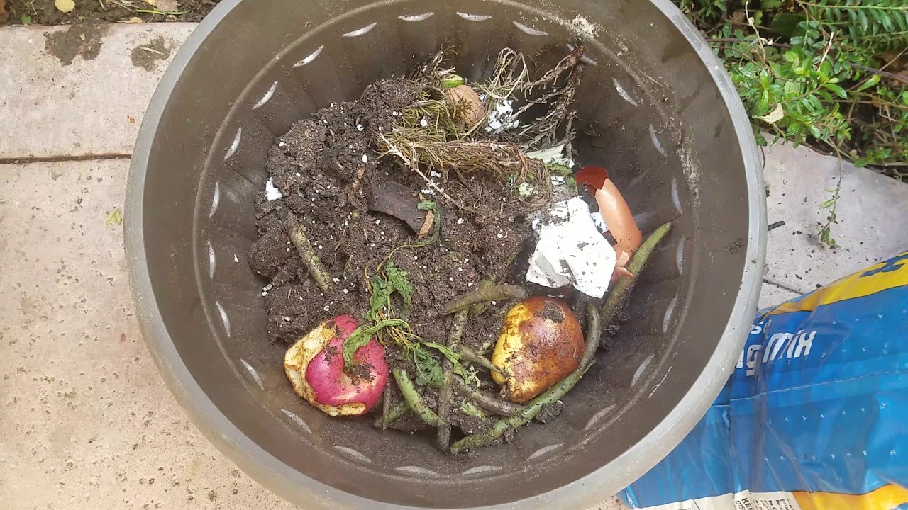Compost Solution / dont waste your leftover fruit and vegetables. - YouTube