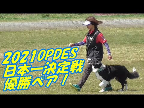 【日本一決定戦】2021OPDESジャパンオープン OB3 優勝ペア
