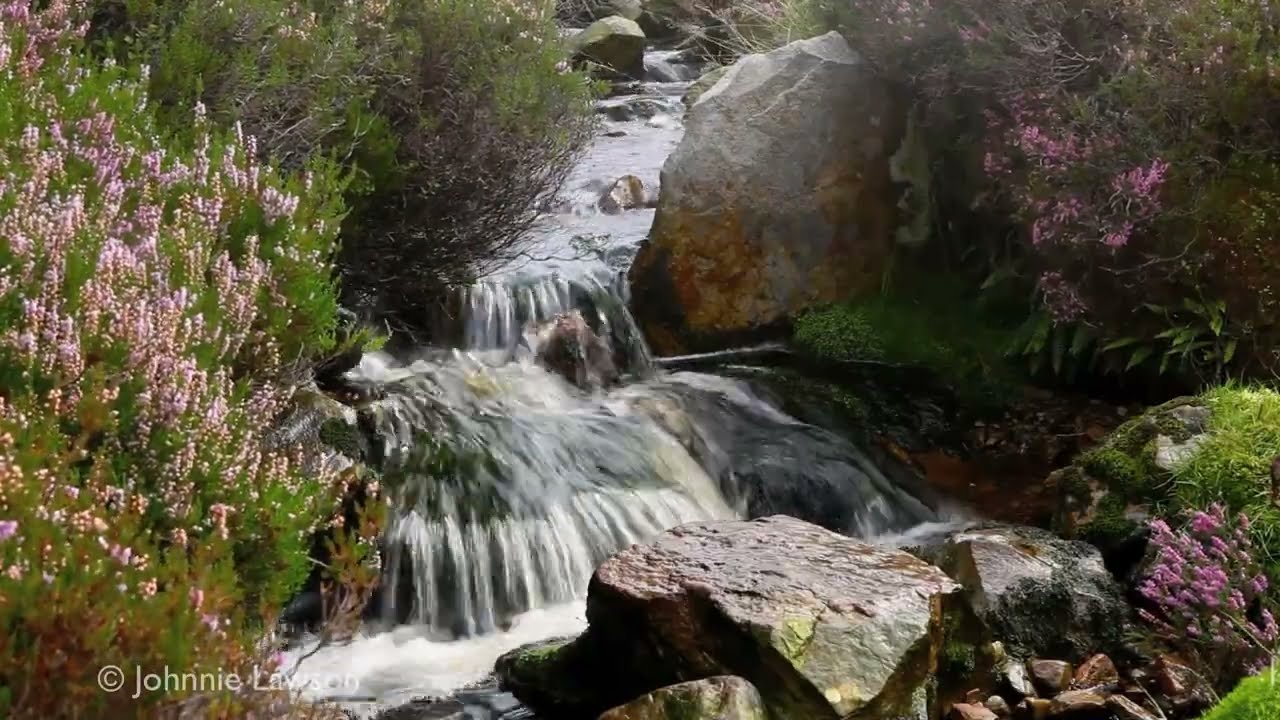 Free Nature Water Sounds To Sleep By Free Nature Water Sounds To Sleep By