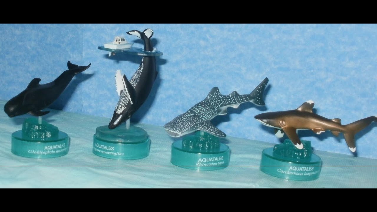Kaiyodo Aquatales Set Reviewed! - YouTube