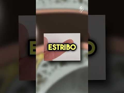 Los mini huesos