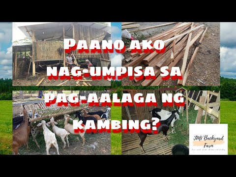 Paano ako nagsimula sa pag aalaga ng kambing | JMV Backyard Farm | Goat farming | Goat house