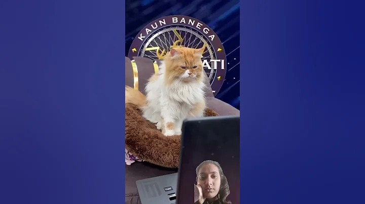 Watch the video about Wait for end 🤗🤗 #comedy #funny #cat #pets #petlover #bengalcat