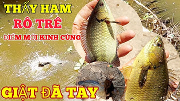 Câu rô đồng vô kinh cùng giật rô mề đã tay |HQBL |T8