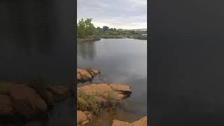 How River Levels Affect Fish and Fishing: Truth About Flow Changes