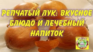 Репчатый лук: вкусное блюдо и лечебный напиток Репчатый лук: вкусное блюдо и лечебный напиток