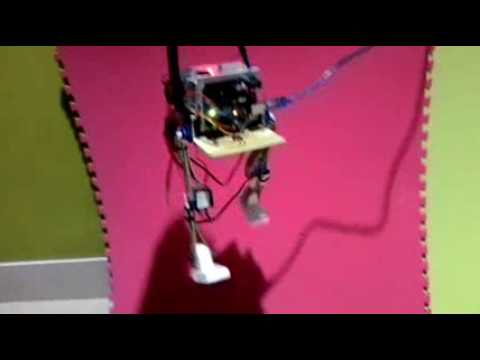 Bipedal Robot (a preliminary version)