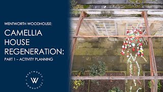 Camellia House Regeneration: Part 1 - Activity Planning | #wentworthwoodhouse |