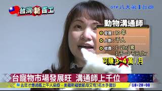 【台灣新百工】1hr收費千元 寵物溝通師探究竟 八大民生新聞 2021021717