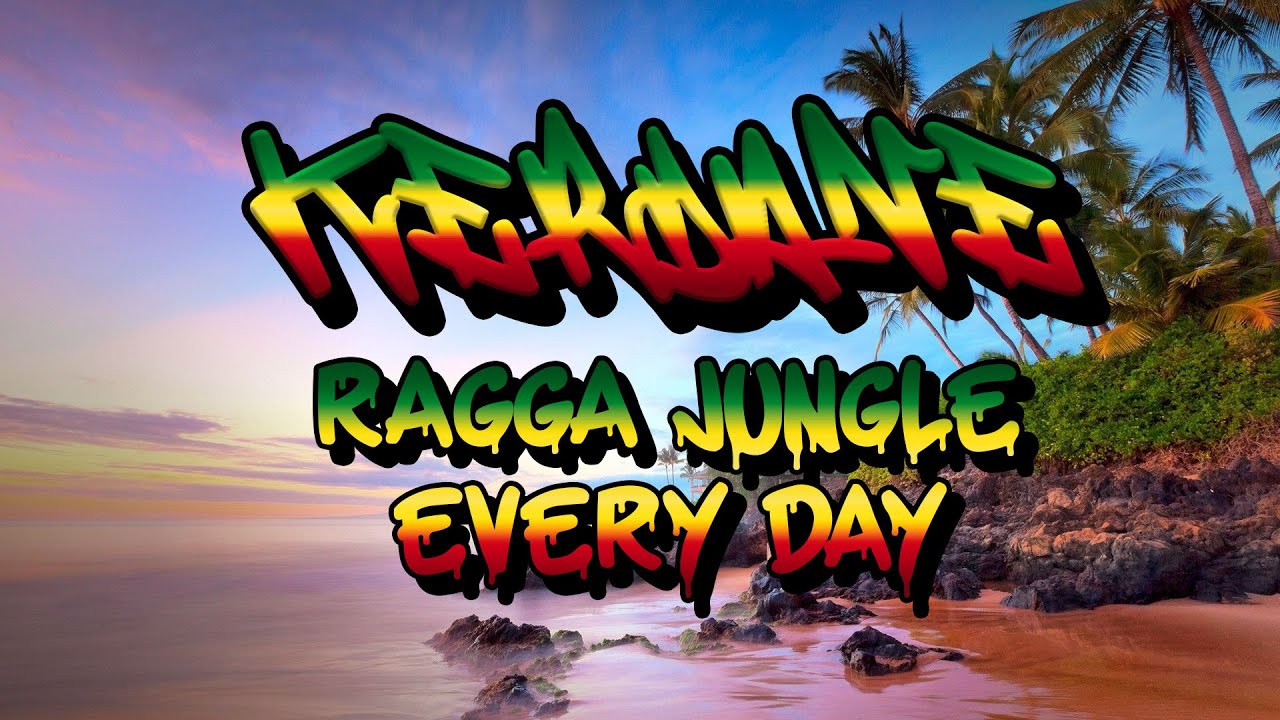Ragga Jungle Every Day Ragga Jungle Reggae Drum and Bass Rollers Mix