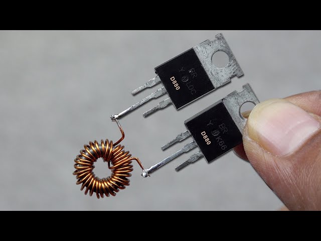 Ең әдемі кискалардың бейнелері