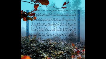 #سورة هود #القارىء ماهر المعيقلي #القرآن_الكريم #تلاوة_خاشعة #اكسبلور #quran #explore