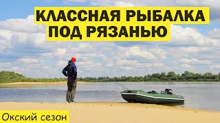 КЛАССНАЯ РЫБАЛКА под Рязанью. Ловля судака на Оке. Ловля щуки. Путешествия.