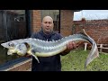 Large sturgeon cooked whole in a stone oven