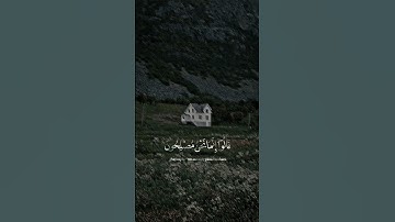حالات دينيه//تلاوة هادئة//القرآن الكريم//القارئ عبد الباسط عبد الصمد #القرآن_الكريم #قرآن #explore