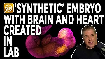 ‘Synthetic’ Embryo With A Brain And Beating Heart Created By Scientists