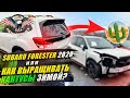 Кактус VS SUBARU FORESTER SPORT 2020 г.в. [авто из сша под ключ 2021]