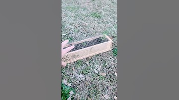 Free Pallet Wood Herb Box