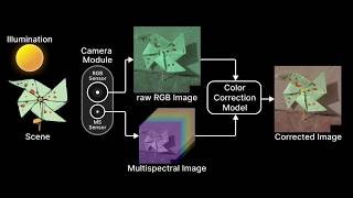 [CVPR 2026] Leveraging Multispectral Sensors for Color Correction in Mobile Cameras