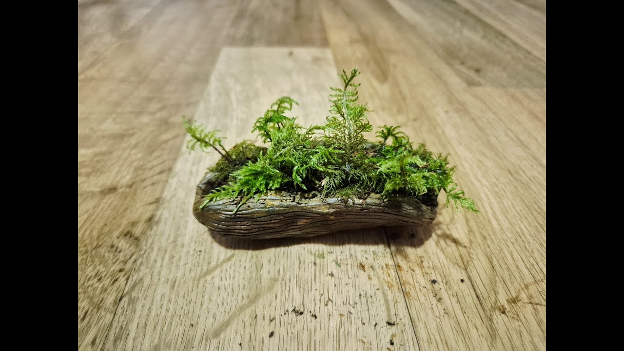 Mini Moss Planter in Terracotta Container | DIY Natural Table Decor