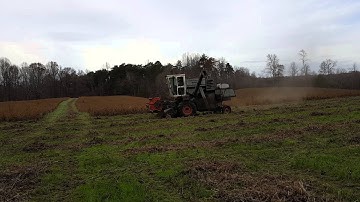 Gleaner F Soybeans 2015