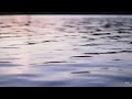 Calm Your Mind with Dizi &amp; Cello Meditation Music