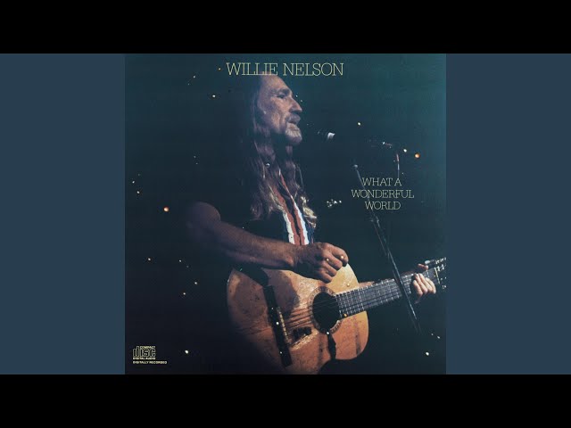 Willie Nelson - Ole Buttermilk Sky