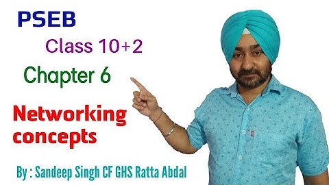 PSEB | Class 10+2 | Chapter 6  |  Networking Concept    |